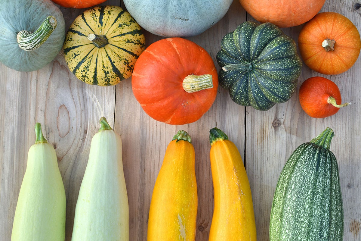 Choisir Ses Courges Pour Cr Er Des Recettes Sur Mesure Fred