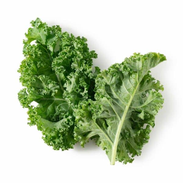 chou-frise-kale