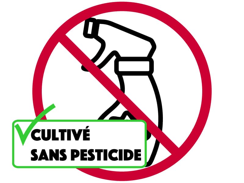 cultive-sans-pesticide