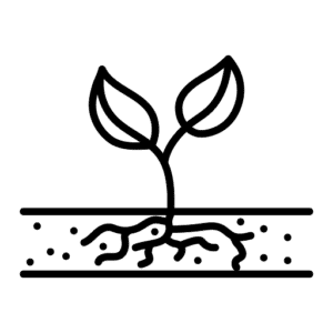 Fertilisation (engrais et compost)