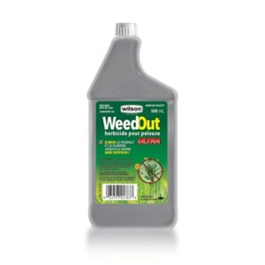 herbicide-pour-pelouse-weedout