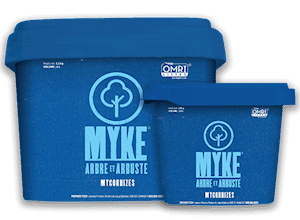 myke-arbre-fr