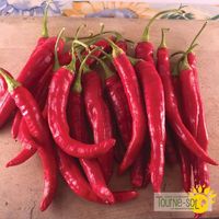 piments-forts-red-rocket
