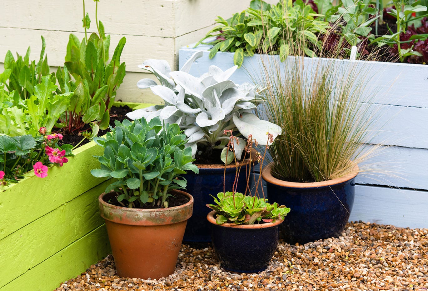 Pots pour plantes: poterie, choix contenant plantes