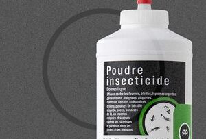 poudre_insecticide