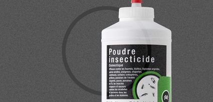 poudre_insecticide