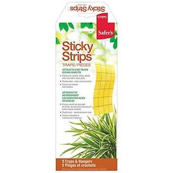 sticky-strips