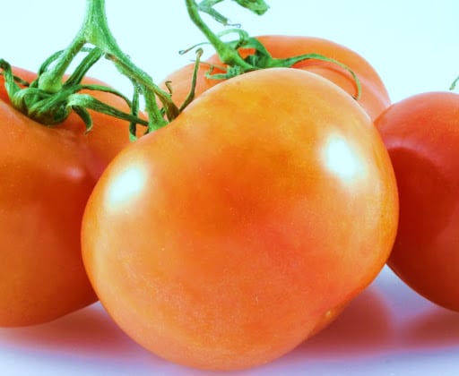 tomate-orange-jaune-flamme