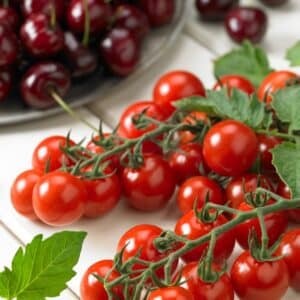 tomate-profi-frutti-cherry