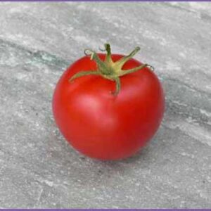 tomate-rouge-canabec