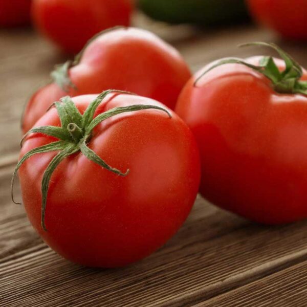tomate-rouge-tasti-lee