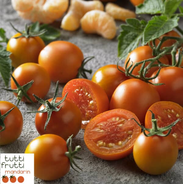 tomate-tutti-frutti-mandarin
