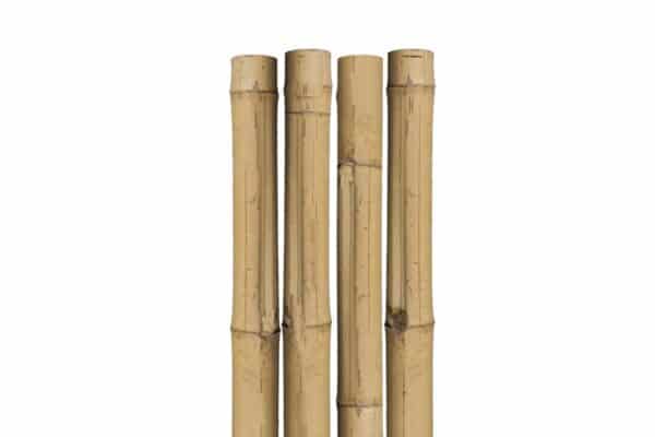 tuteur-naturel-bamboo-4