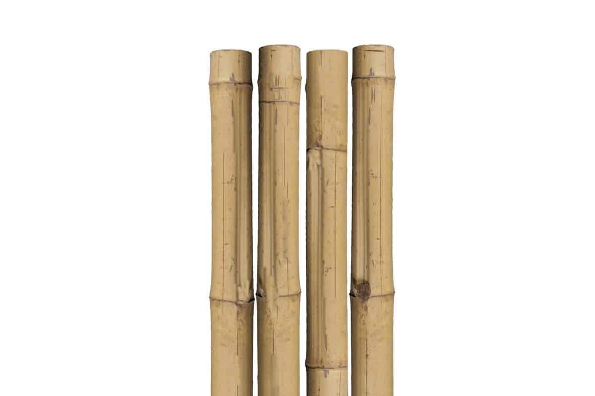 tuteur-naturel-bamboo-4