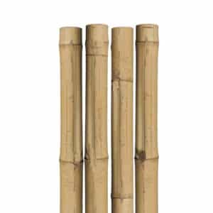 tuteur-naturel-bamboo-7