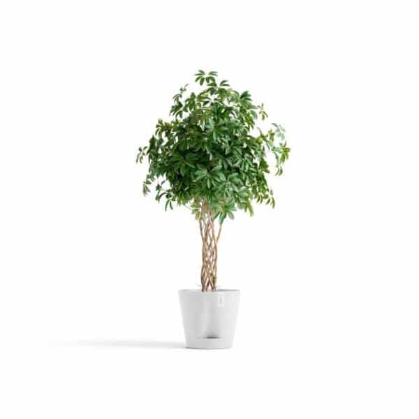 ecopots-venice-2-40-blanc-pur-avec-plante