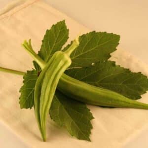 ferme-cooperative-tourne-sol-okra-clemson-spineless