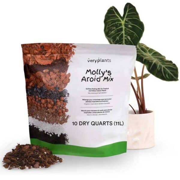 molly-s-aroid-mix-premium-tropical-plant-soilless-potting-mix-veryplants-1