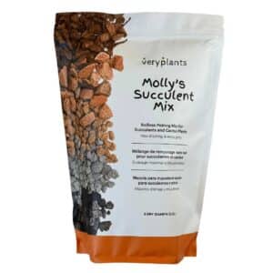 molly-s-succulent-mix-premium-gritty-soilless-potting-mix-for-succulents-cactus-and-bonsai-veryplants-10-33037632405744