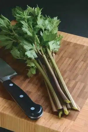 seme-saveurs-celeri-a-couper-peppermint-stick