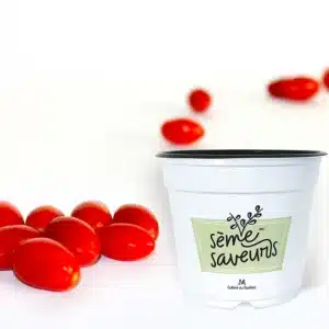 seme-saveurs-tomate-raisin-juliet