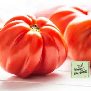 seme-saveurs-tomate-rouge-beefsteak