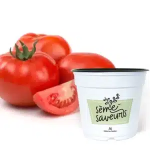 seme-saveurs-tomate-rouge-celebrite