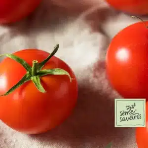 seme-saveurs-tomate-rouge-fantastique