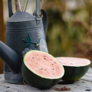 semeces-de-lecoumene-melon-blacktail-mountain-bio