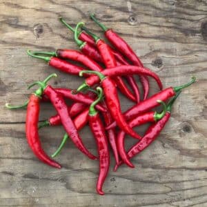 semeces-de-lecoumene-piment-cayenne-ring-of-fire-bio