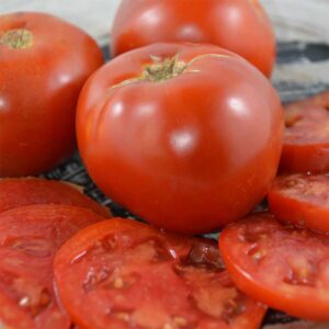 semeces-de-lecoumene-tomate-moskovich-bio