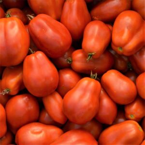 semeces-de-lecoumene-tomate-roma-bio