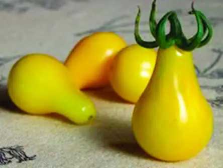 tomate-poire-jaune-wh-perron