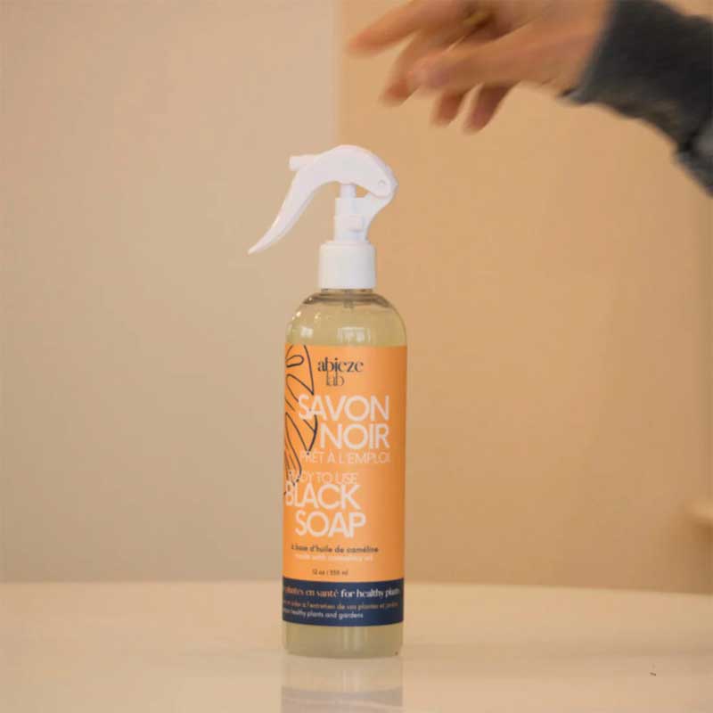 savon-noir-pour-les-plantes-et-jardins