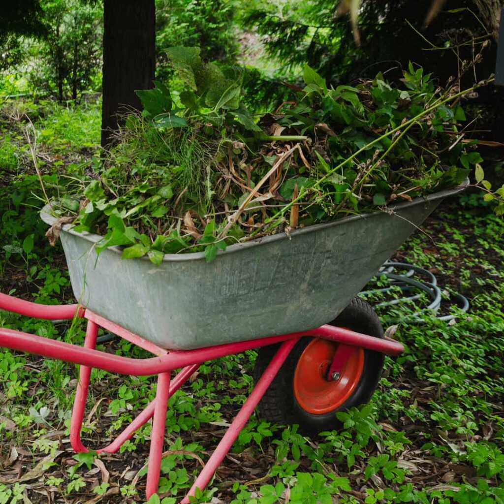 nettoyage-du-terrain