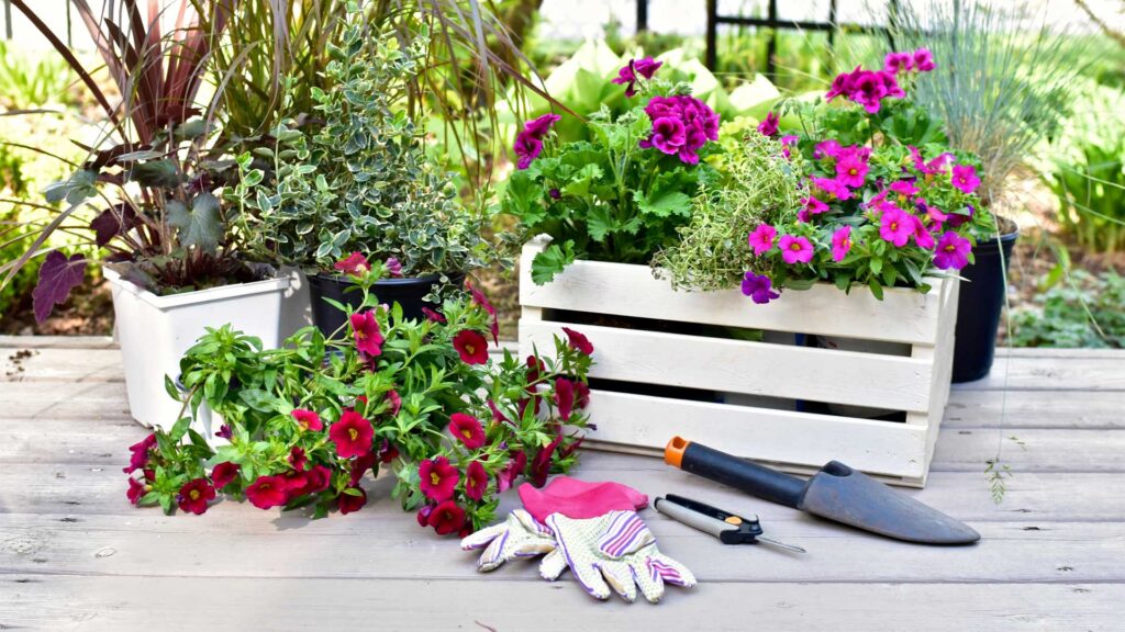 entretien-au-fil-de-la-saison