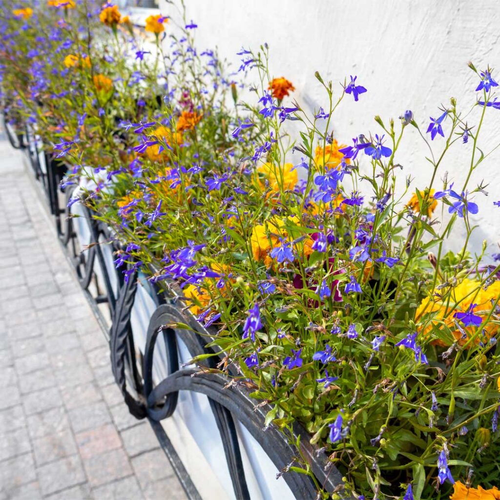 harmonie-des-couleurs