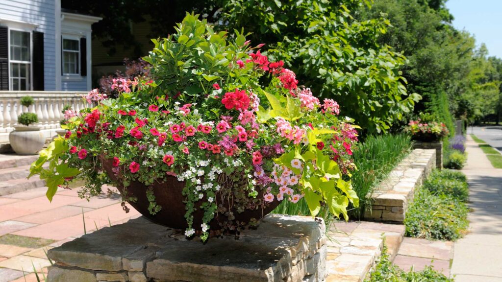 lart-des-arrangements-en-pot-conseils-pour-un-exterieur-eclatant