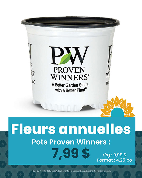 promo-annuelles