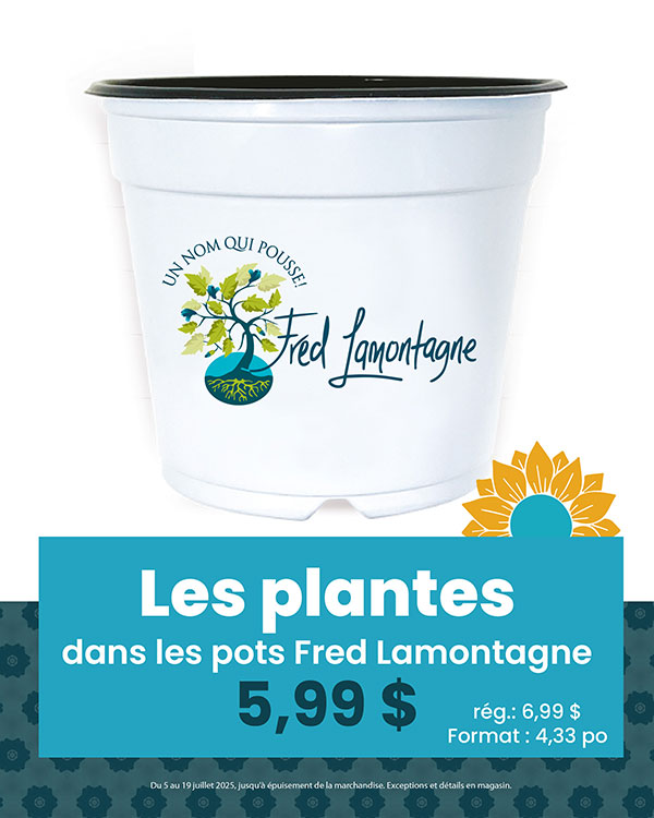 promo-fred-lamontagne