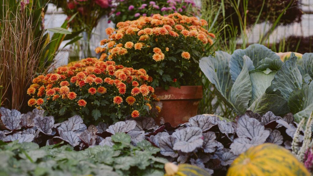 quoi-faire-au-jardin-en-automne