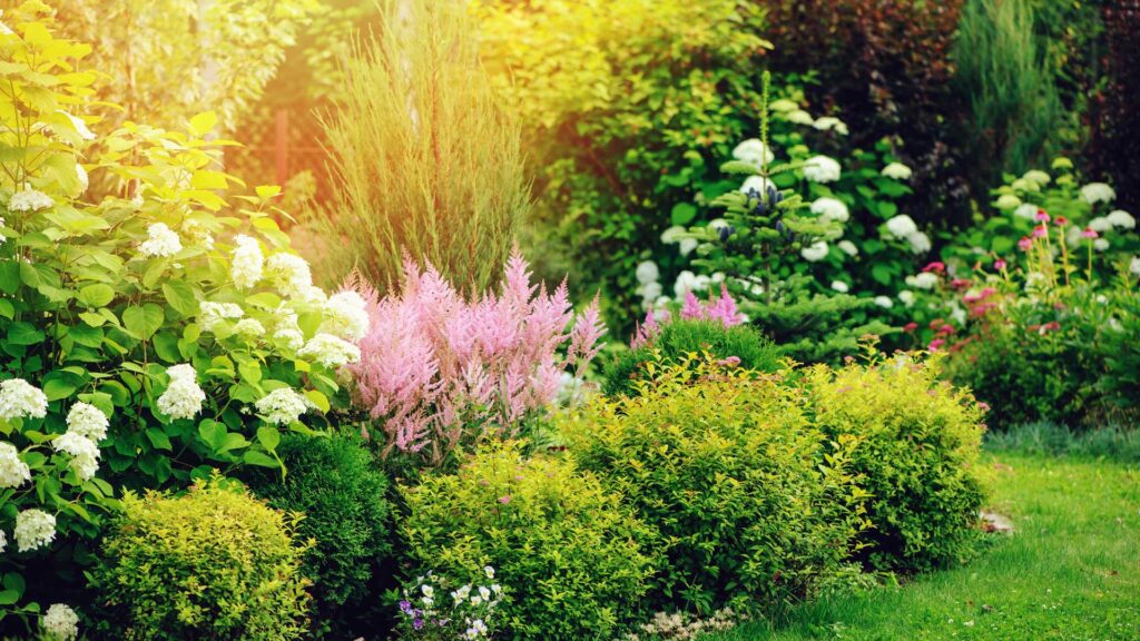 hydrangee-classique-moderne