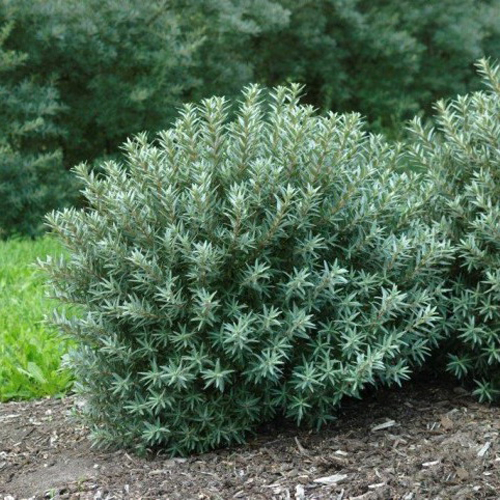 CREATOR: gd-jpeg v1.0 (using IJG JPEG v62), quality = 90