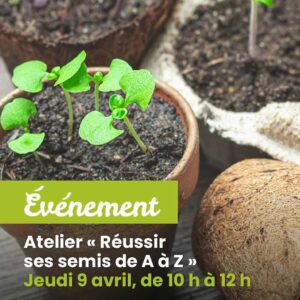 atlier-reussir-semis