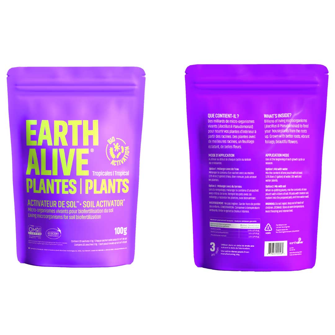 earth-alive-plantes-tropicales