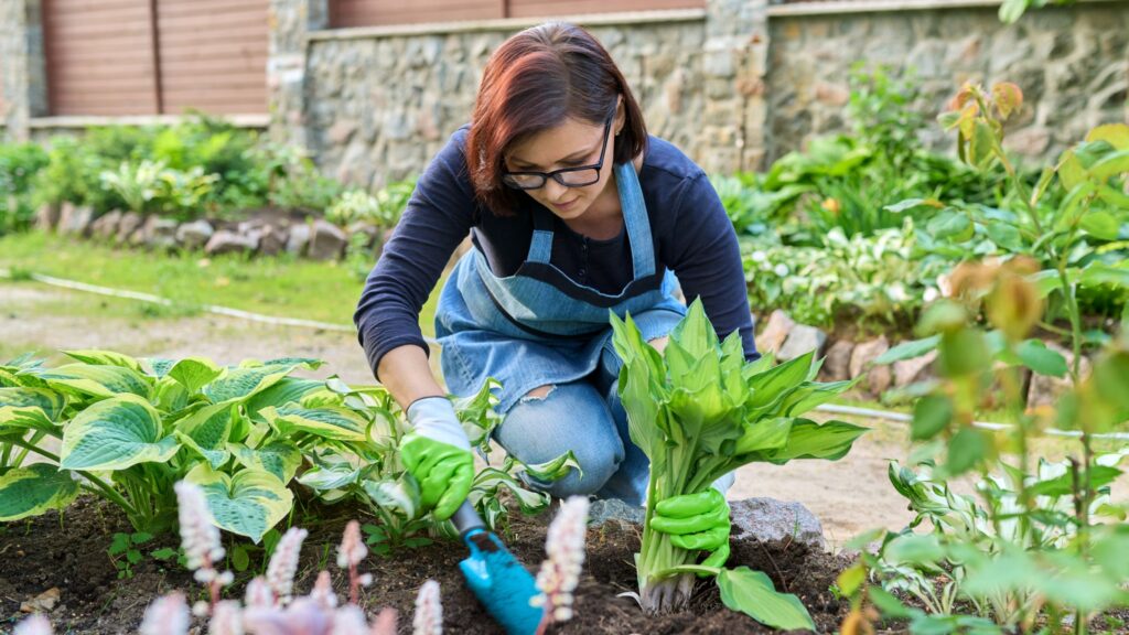 Les erreurs les plus fréquentes au jardin et comment les éviter (2)